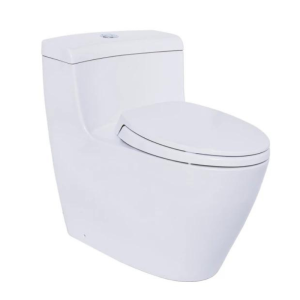 Bàn cầu 1 khối TOTO MS636DT2